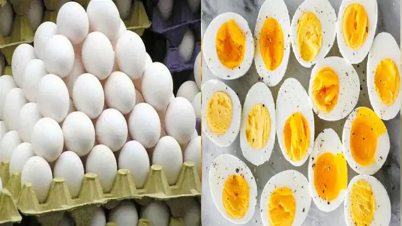 FSSAI की सख्त जांच: भारत में बिकने वाले अंडों की गुणवत्ता पर उठे सवाल, देशभर से सैंपल की जा रही है जांच
