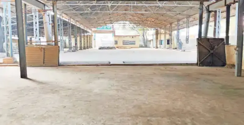 कृषि मंडी में सन्नाटा: 22 दिन से धान की आवक नहीं, नवंबर में केवल 362 क्विंटल की हुई खरीदी