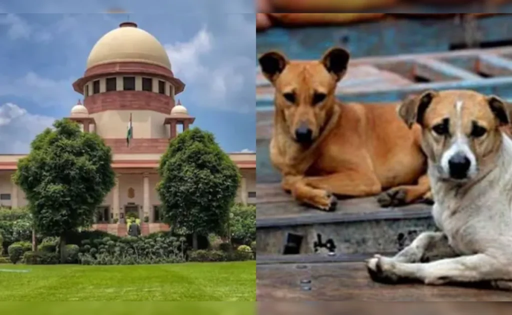 Delhi High Court: आवारा कुत्तों के मुद्दे पर जज ने जताई नाराजगी, बोले- जिम्मेदारी किसकी है?